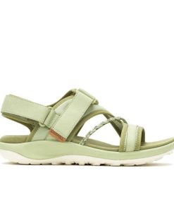 Frostwear.shop4be511e2e4 1